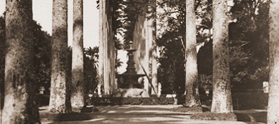 Jardins Botânicos